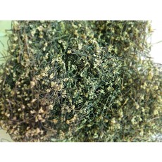 자연산 건고사리